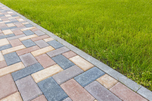 Best Driveway Paving Contractor  in USA